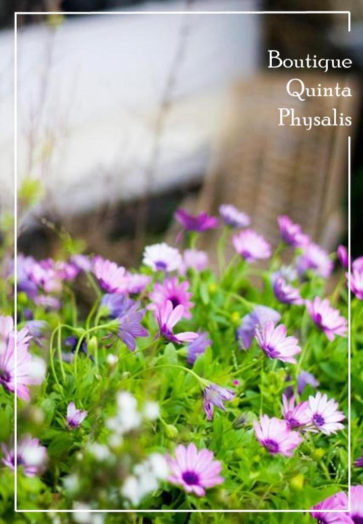 Boutique Quinta Physalis Apartment Fenais da Luz ภายนอก รูปภาพ