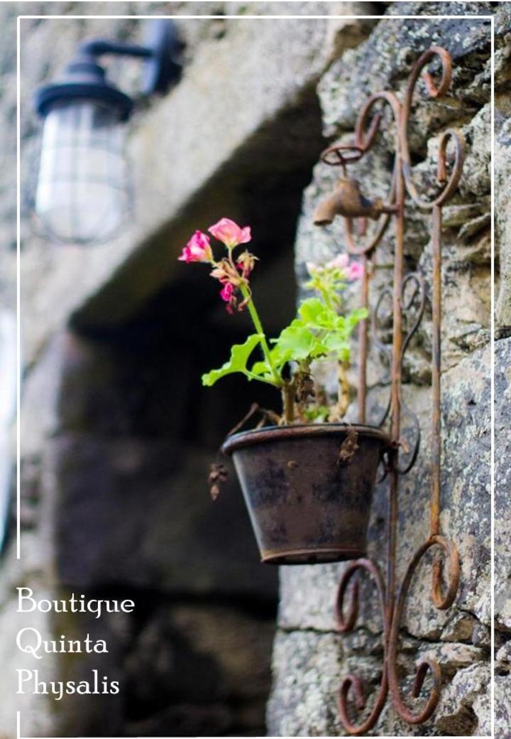 Boutique Quinta Physalis Apartment Fenais da Luz ภายนอก รูปภาพ